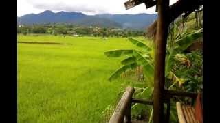 preview picture of video 'Bueng Pai Farm Bungalow 14'