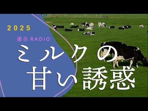 面白ラジオ