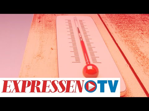 Så tacklar du värmeböljan