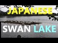 JAPANESE SWAN LAKE