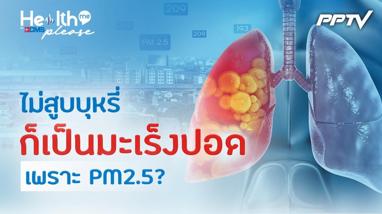 PM2.5 มะเร็งปอดในคนไม่สูบบุหรี่ ภัยใกล้ตัวที่ควรรู้|