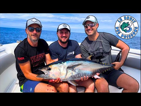 PECHE du THON ROUGE au POPPER (Bassin d’Arcachon)