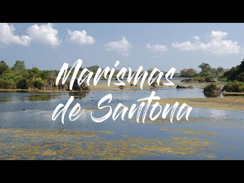 Marismas de Santona, Cantabria, Spain - 4K UHD - Virtual Trip