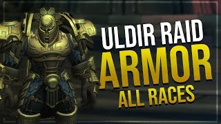 Uldir Mythic Mail Armor Set | All Races | Battle for Azeroth!