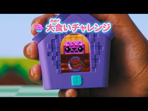 【ゲーム編】わんだーはうす 遊び方動画