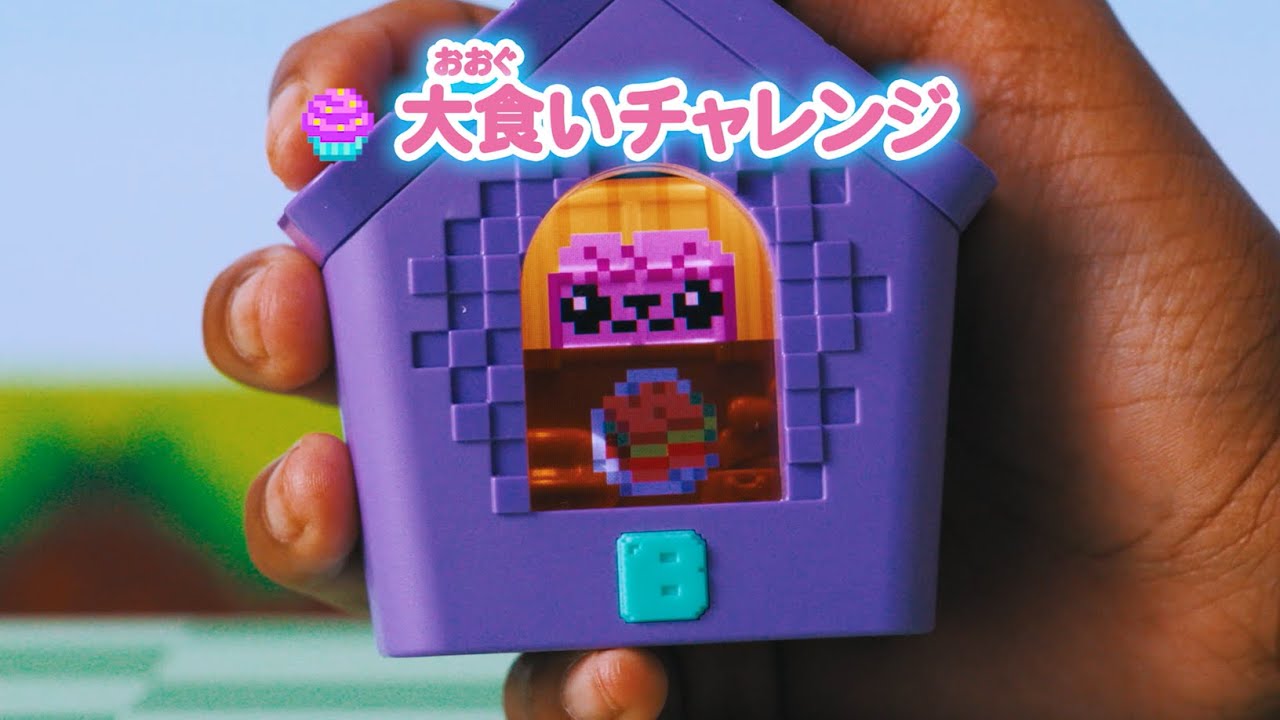 【ゲーム編】わんだーはうす 遊び方動画