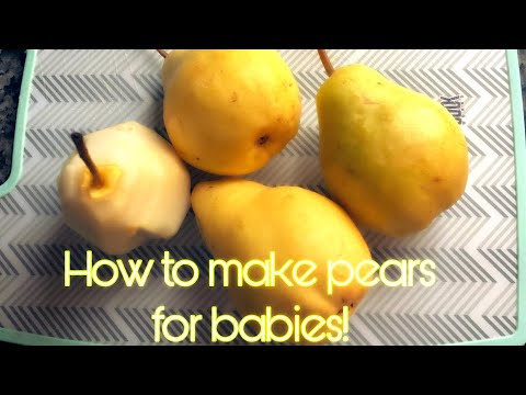 download lagu mp3 mp4 What Kind Of Pears For Baby Food, download lagu What Kind Of Pears For Baby Food gratis, unduh video klip What Kind Of Pears For Baby Food