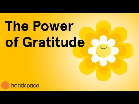 The Power of Gratitude in Uncertainty | Andy Crisis Wisdom