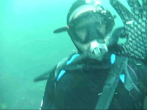 The Scuba Diver Girls do a Reef Dive