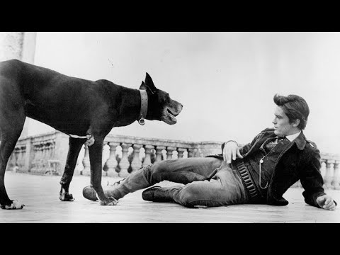 Alain Delon  Documentary 2016