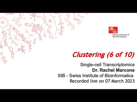 Single cell transcriptomics - Clustering (6 of 10)
