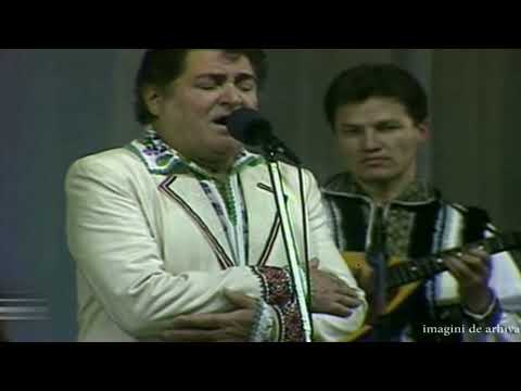 Nicolae Sulac - La o margine de drum