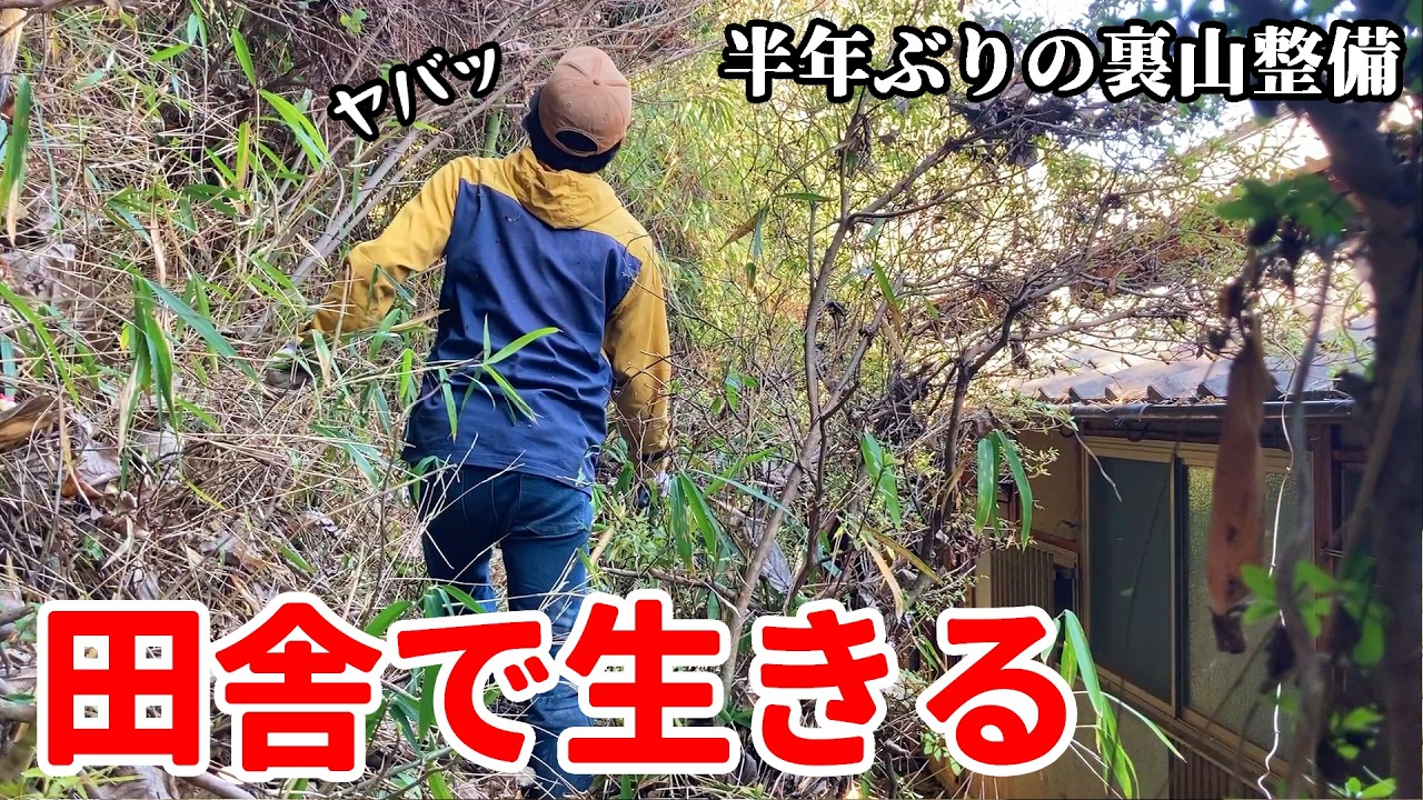 山作業、再び。疲れた身体に猫の癒し＆ご褒美ラーメン。【古民家暮らし144】