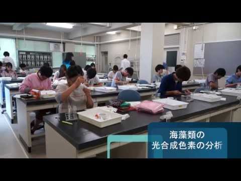 「瀬戸内海学入門」おのころ班実習2日目（海藻類の色素分析とプランクトン観察） (神戸大学)