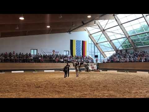 Oberland 1 - Kür - Bayerische Meisterschaft München-Riem 21. Juli 2019