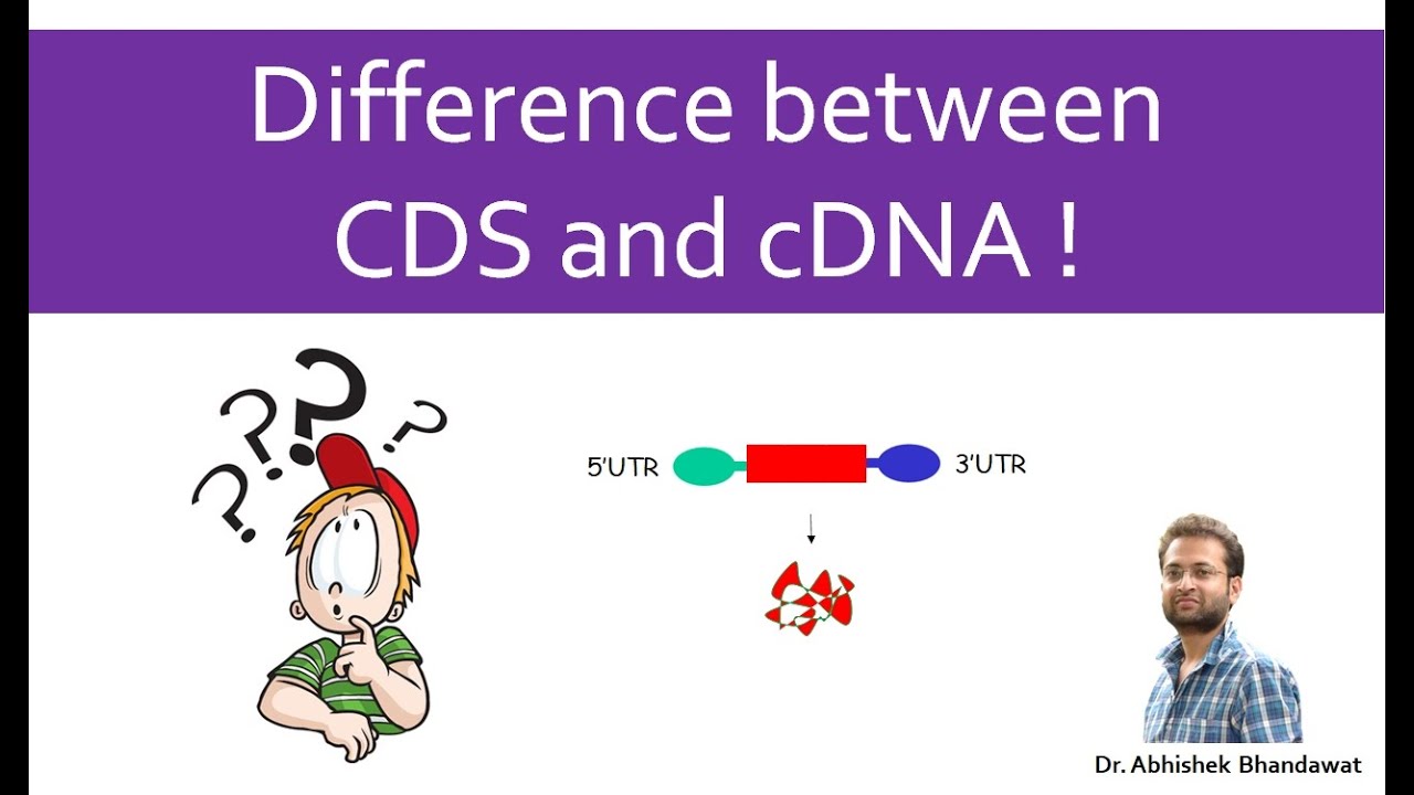 What is the difference between DNA and cDNA? More REF