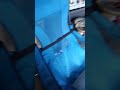 Bio Clip Film 1004