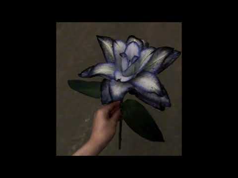 SAD RUN (CLEAN VERSION)