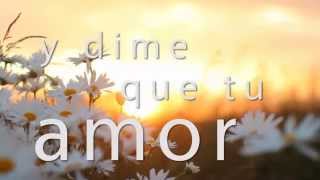 Ingenuo y soñador - Roberto Carlos - Letra - HD