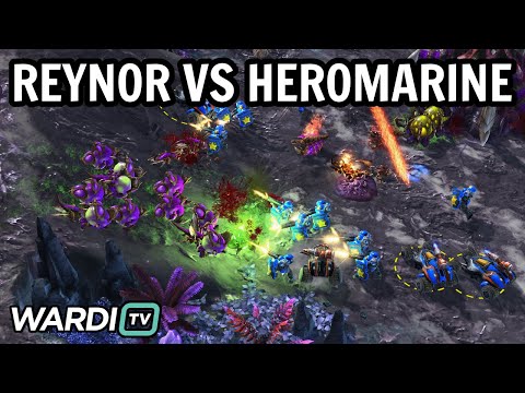 Reynor vs HeroMarine (ZvT) - FINALS ESL Open Cup EU 144 [StarCraft 2]