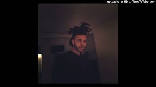 The Weeknd - XO / The Host (Acapella)