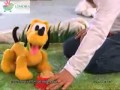Pluto Yürüyüşte Limora Com Tr De