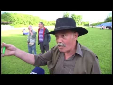 Izložba konja... ili? (Format 16:9)