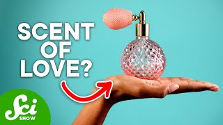 Do Humans Have Pheromones?