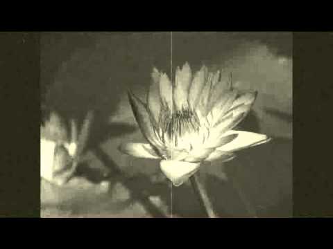 Sam Wooding (1929) - Smiling Irish Eyes