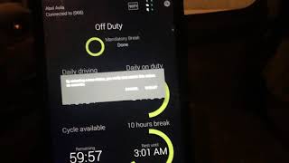 Fleetmatics Duty status