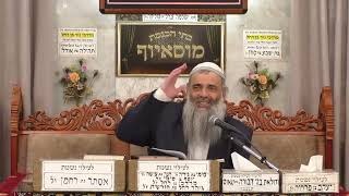 הרב שמעון זרביב  •  פרשת בא תשפ'ו (בית הכנסת מוסאיוף) - התמונה מוצגת ישירות מתוך אתר האינטרנט יוטיוב. זכויות היוצרים בתמונה שייכות ליוצרה. קישור קרדיט למקור התוכן נמצא בתוך דף הסרטון