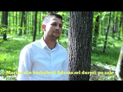 Marian din Barbulesti - ADESEA ORI DURERI PE CALE