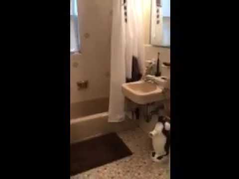 65 Olcott St #1 - Video 5 of 6