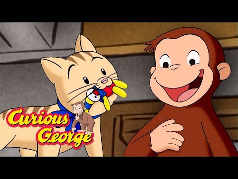 That's Not a Cat Toy! 🐵 Curious George 🐵 Kids Cartoon 🐵 Kids Movies