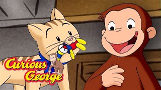 That's Not a Cat Toy! 🐵 Curious George 🐵 Kids Cartoon 🐵 Kids Movies