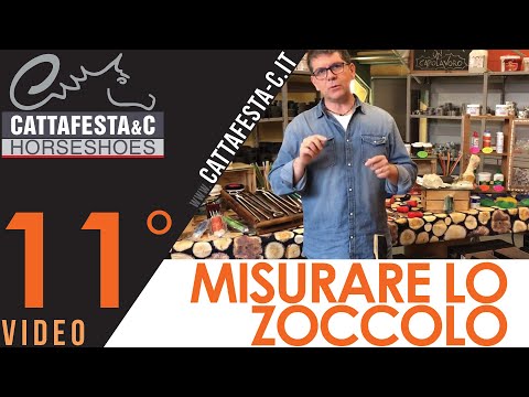 Podogonometro Finnegan