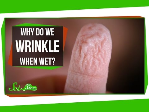 なぜ濡れているとシワができるのか？ (Why Do We Wrinkle When Wet?)
