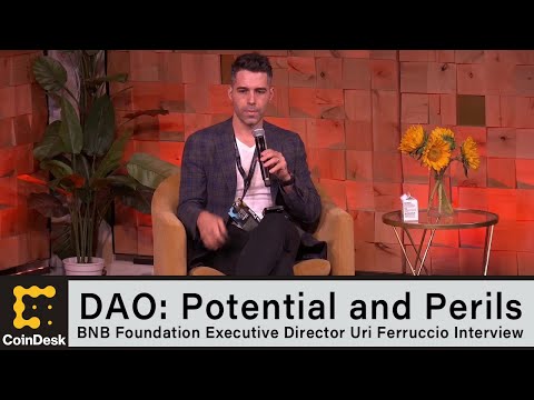 Potential and Perils with BNB Foundation Executive Director Uri ...