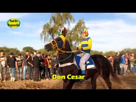 Que Impresión. Hip "SAN ANTONIO" 27.05.2018