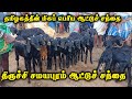 திருச்சி சமயபுரம் ஆட்டுச் சந்தை Trichy Samay