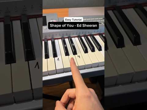 Shape of You - Ed Sheeran ✨ (Easy Full Tutorial) 