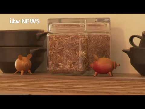 ITV   TAM   We Can Make 03 11 17