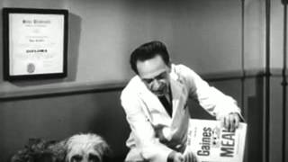 VINTAGE DON KNOTTS COMMERCIAL FOR GAINES MEAL DOG FOOD