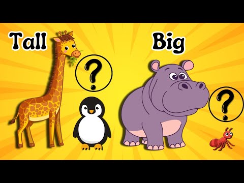 Big, Small,Tall, Short|Fun Size Song for Kids |nursery rhymes and kids songs|learn Size with animals