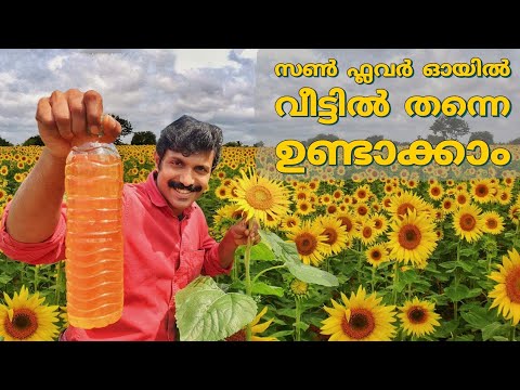 Sunpure Sunflower Oil 5 Ltr Can