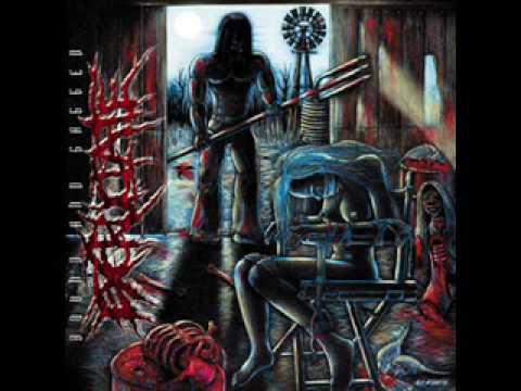 Excruciate - Where all my dead bitches rot