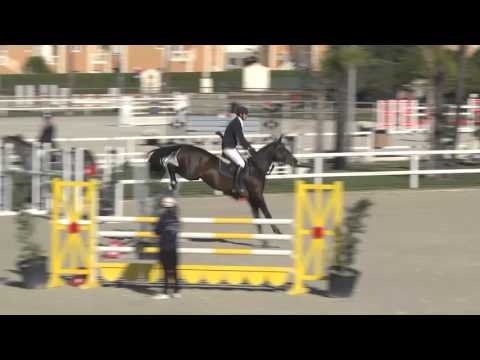 DON PERIGNON BY WISBECQ - Gaetan Decroix - 5.Years.1.20m - Oliva (6.11.2014)