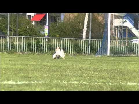 Forum Sport 11 - SEV 10  0-3 (2 mei 2015)