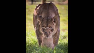 Download lagu Phizo - Ndakwenzani ( Audio) mp3 Download lagu Phizo - Ndakwenzani ( Audio) mp3