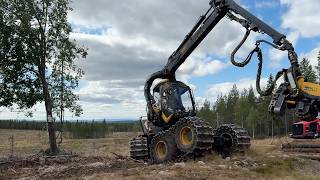 Abatteuse Ponsse Scorpion King | Image 4 - Agroline